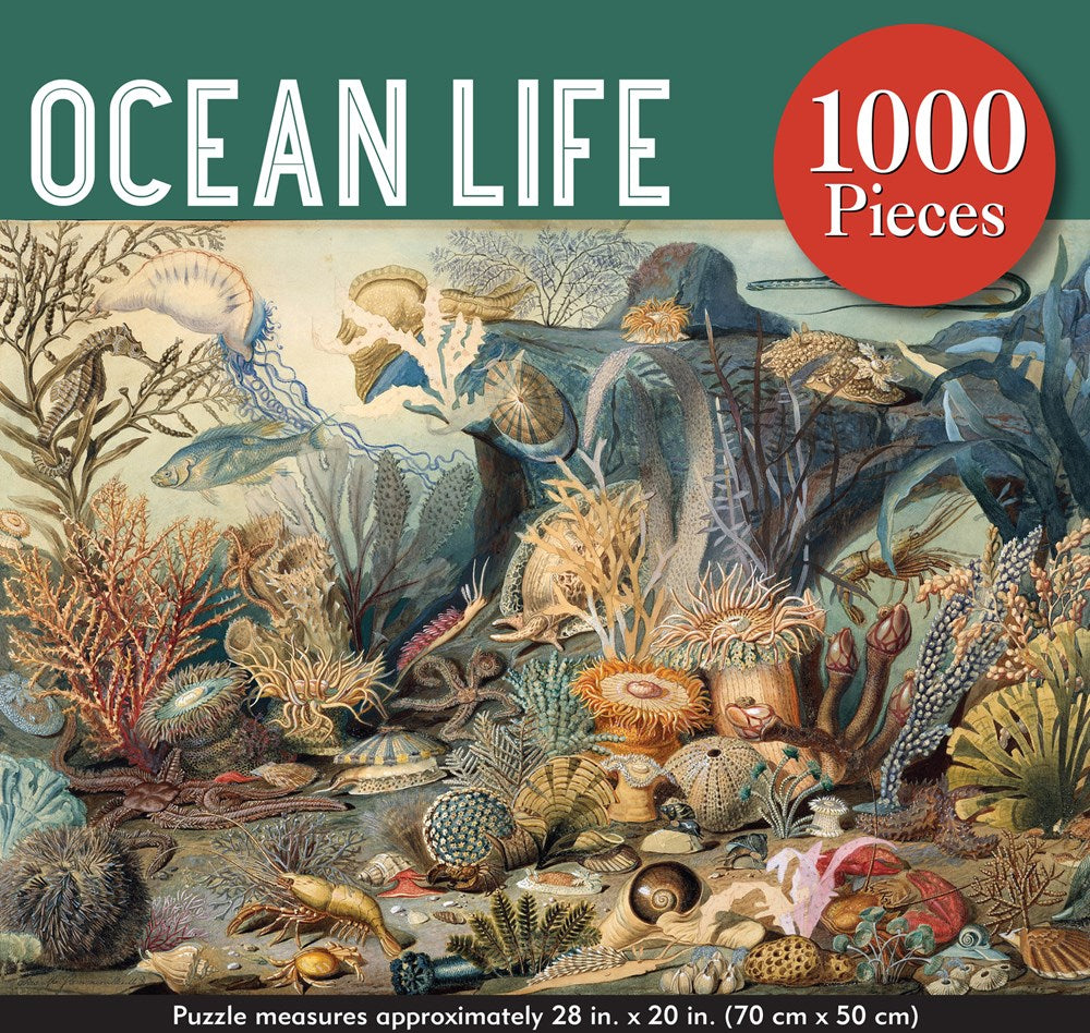 1000pc Ocean Life