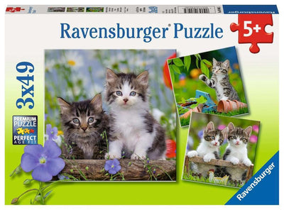 3x49pc Kittens Puzzle