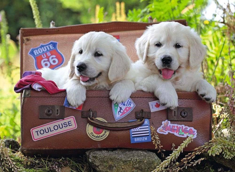 100pc Travelling Puppies Puzzle
