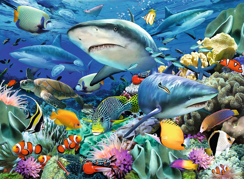 100pc Reef of the Sharks Puzzle