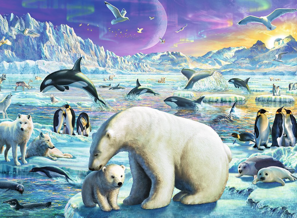 300pc Meet the Polar Animals