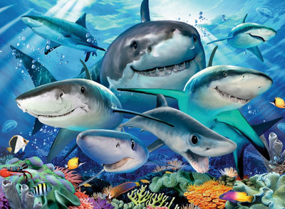 300pc Smiling Sharks