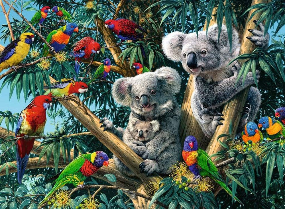 500pc Koalas in a Tree