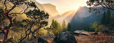 1000pc Yosemite Park Puzzle