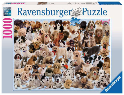 1000pc Dogs Galore!