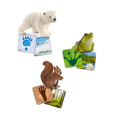 Assorted Wild Life Animals  with Flash Cards