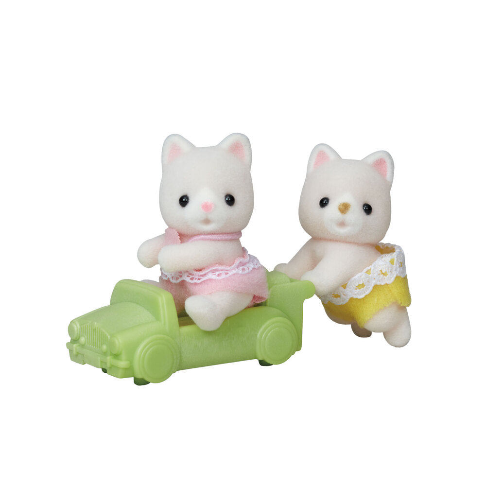 Silk Cat Twins with Vehicle