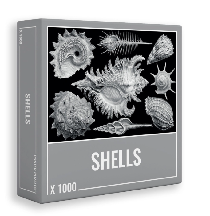 1000pc Shells