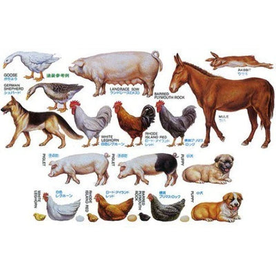 1/35 Livestock Set