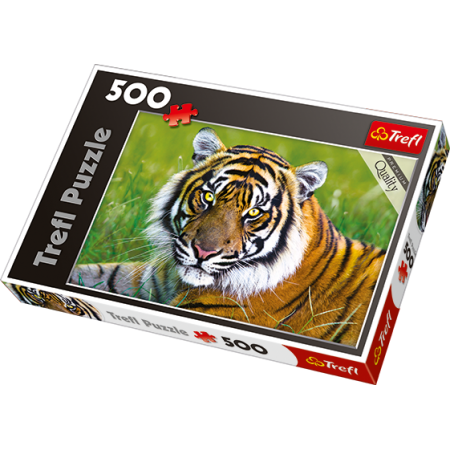 500pc Tiger