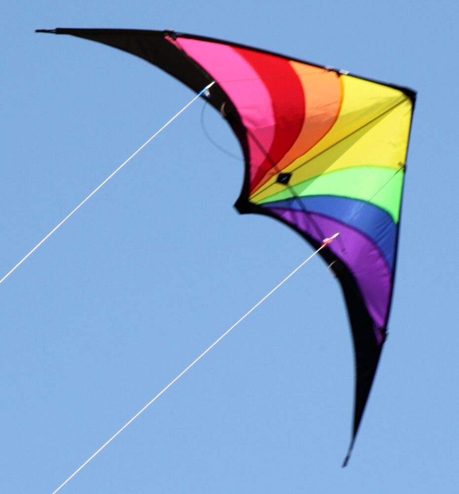 Prism Sport Kite Dual Control