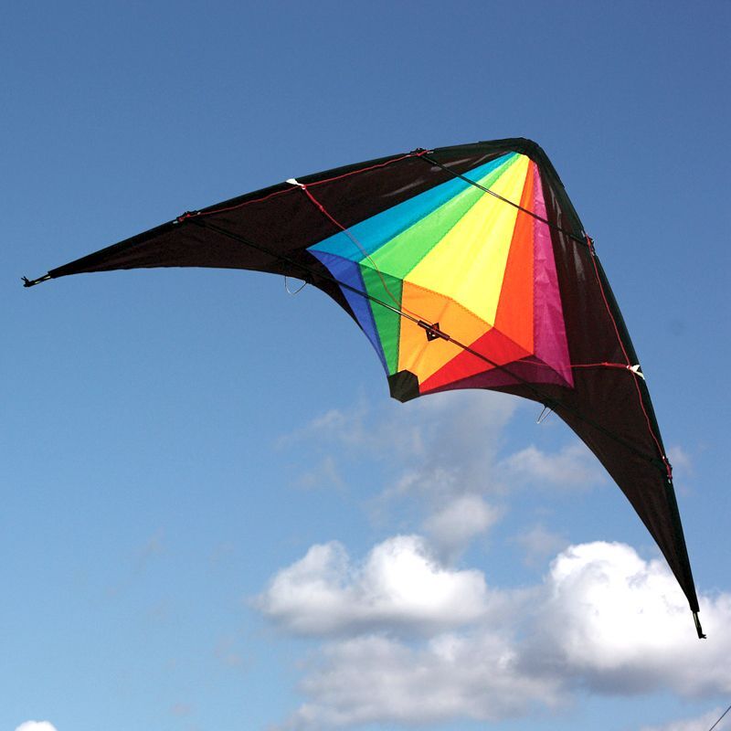 Black Widow Sport Kite Dual Control