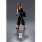 DRAGON BALL Z SOLID EDGE WORKS VOL.9 (A:TRUNKS)