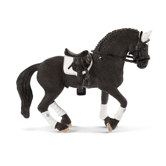 Frisian Stallion Riding  Tournament