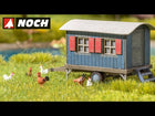 HO Chickens (Sound Scene)