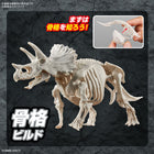 PLANNOSAURUS Triceratops