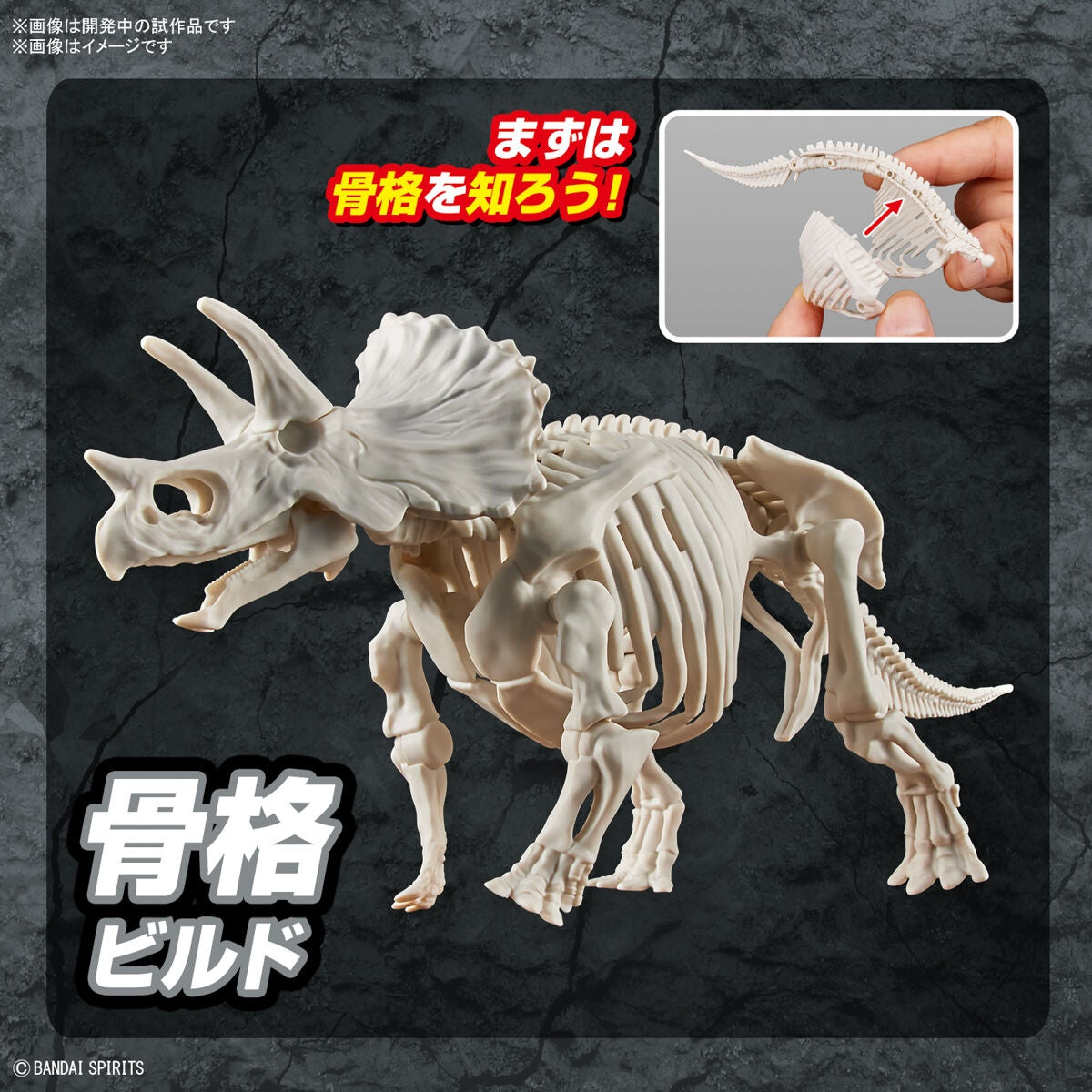 PLANNOSAURUS Triceratops