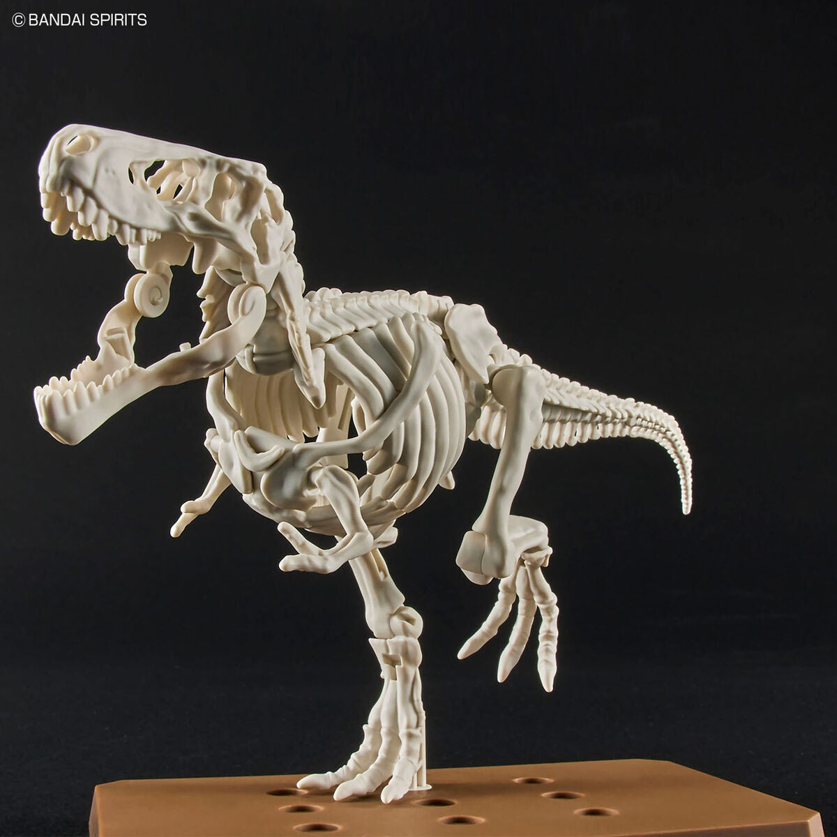 PLANNOSAURUS Tyrannosaurus