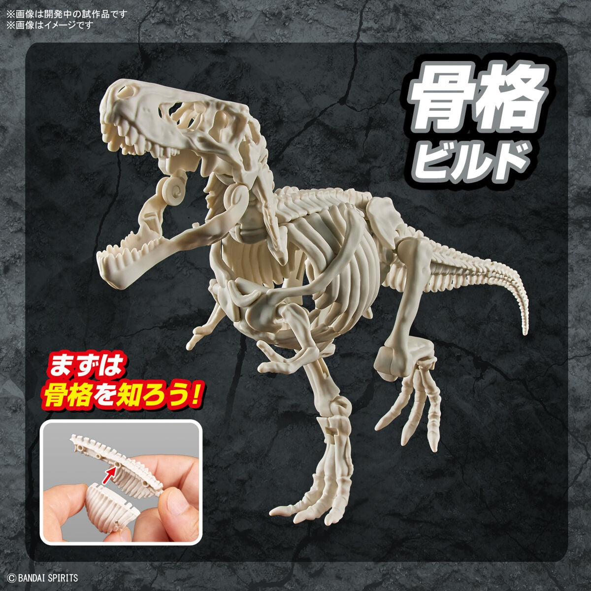 PLANNOSAURUS Tyrannosaurus