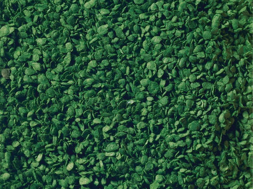Leaves Medium Green