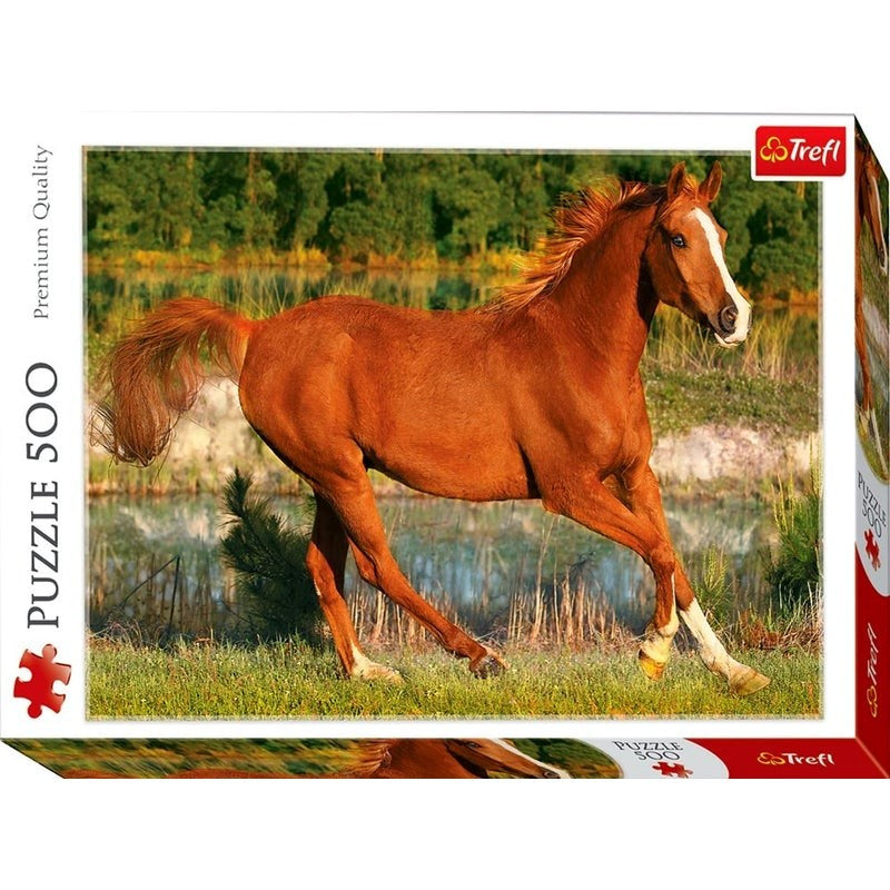500pc The Beauty of Gallop